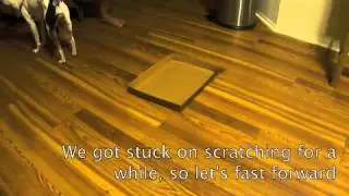 101 things to do with a box