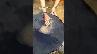 ! INCREIBLE ! ASI SE SACA MUCHO ORO DE LOS RIOS EN UNA SOLA BATEA  #oro #tesorosencontrados #sabias