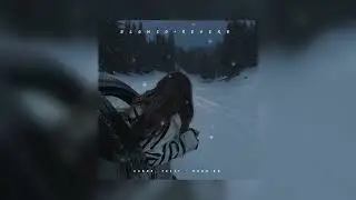 Aarne, Toxi$ &mdash; Show em | slowed + reverb |