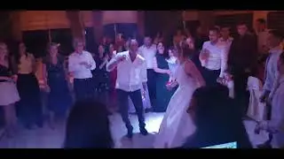 TERRA EVENT DISCO