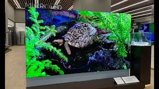 First look: Samsung's 110