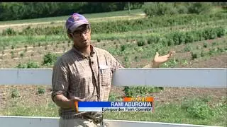 Walker asks feds for farm disaster declaration