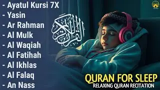 Quran recitation in a peaceful voice I ayat al kursi, yasin, alkahfi, alwaqiah, arrahman, Alaa Aqel