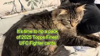 Topps Finest 2025 episode 03 #catvideos #ufccards #sportscards #cats #catvideos #winripz #ufc #topps