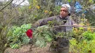 Behind the Scenes at the LA Arboretum