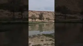 اللهم اجعلها في الفردوس الأعلى من الجنة