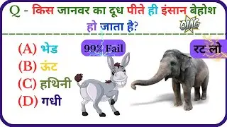 किस जानवर का दूध पीते ही इंसान बेहोश हो जाता है? |  GK Questions and Answers | GK Quiz #gk #gkquiz