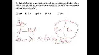 Sinir sistemi məsələ həlli