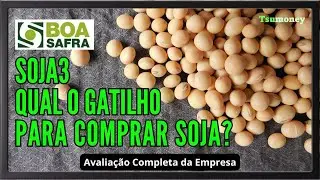 SOJA3 - Quando Comprar?  Como Est&atilde;o Seus Fundamentos?