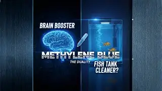 Methylene Blue: Brain Booster or Fish Tank Cleaner?