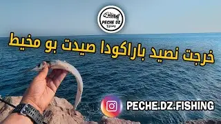 خرجت نصيد باراكودا صيدت بومخيط في الدقيقة 11