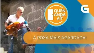 🐓VOLVE A POXA de GALLOS DE CORRAL en LORES polo SAN BIEITO