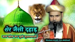 शेर जैसी दहाड़ | Maulana Shoaib Raza Allahbadi | Sayyed Hashmi Miyan Dahad | Mawai kewat kaushambi 
