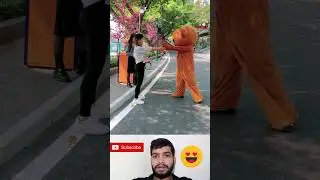 teddy funny video respect  vd troll bear #funny #teddy bear #shorts