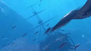 Virtual Reality Teaser Underwater World