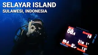 Diving 