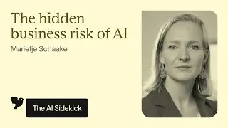 The Hidden Business Risks of AI: Why Guardrails Matter with Marietje Schaake