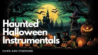 Haunted Halloween Instrumentals 🐱 Paws and Pumpkins 🎃