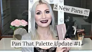 Pan That Palette 2020 Update #1