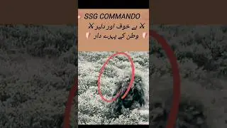 Pak Army SSG COMMANDO #pakarmyzindabad #aviation #education #shortvideo #shortsfeed #viewsproblem