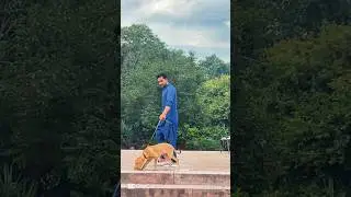 Okara video #song #automobile #punjabisong #remix #punjabimusic #okara #shorts #duet ￼