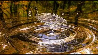 Water Dripping Sound Effects