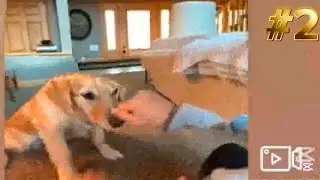 FUNNY VIDEO - CONTENT AWARE SCALE 🤣🤣 EPIZODE 2 