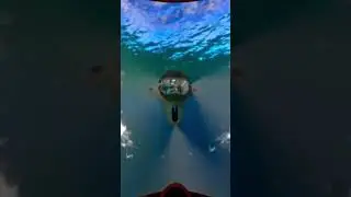 perfect timing #subnautica #gaming #gamer #games #timing #cool #music #perfect #sync #funny #time
