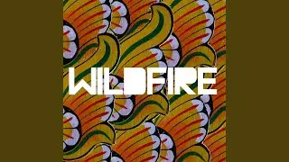 Wildfire