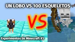💀🐺 Un lobo VS 100 esqueletos &iquest;Quien ganara? Experimentos de Minecraft 3
