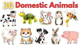 30 Domestic Animals | Pet Animals| Learning videos for kids | First words for babies | English vocab