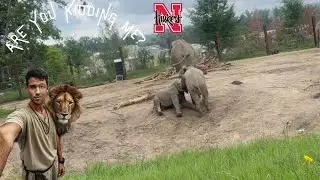 BIGCORNHUSKER PART 2: APE SHALL NOT KILL APE