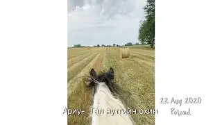 Ariu- Tal nutgiin ohin lyrics