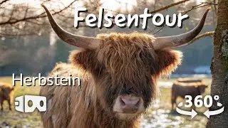 360° VR-Wanderung | Felsentour Herbstein | Extratour Vogelsberg | Wandern in Hessen