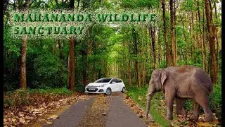 Mahananda Wildlife Sanctuary.