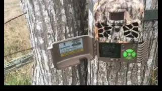 Browning Defender Wireless Cell Trail Camera Review + Strike Force Cellular
