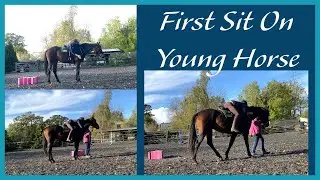 FIRST SIT ON YOUNG DRESSAGE HORSE | Equestrian Vlog