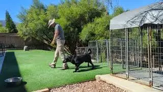 Training Sprout 10-16-2025
