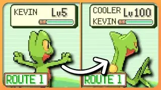 Pokemon Emerald Grinding to Lvl 100 on Route 1