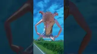 Dancing #travel #music #vacation #disney #ncs #beach #funny #mimozakraja #love #stellular
