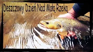 Deszczowy Dzień Nad Małą Rzeką Pstrągi Czerwiec 2022