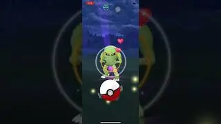 Shiny hitmonlee