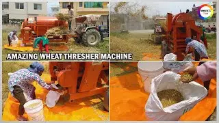 AMAZING PADDY/WHEAT THRESHER MACHINE | How does a wheat thresher work | NEPAL