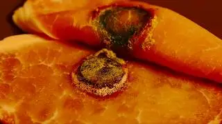 Button cell battery danger experiment with ham/ bacon
