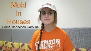 Charlotte Home Inspection Company Talks About Mold in Homes