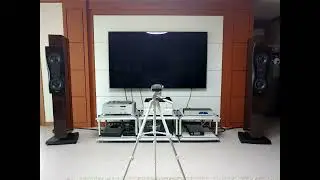 Dynaudio C2 Platinum #13