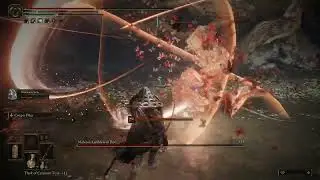 Elden Ring  beating Malenia new game plus