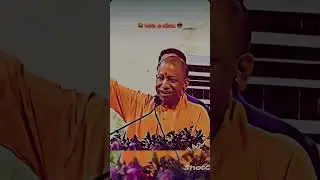 #Yogi#in# action# mood #viral#short