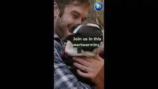 FYP We Love Our Planet & Every Living Thing Join EcoPawst & Build It With it Subscribe #EcoPawst