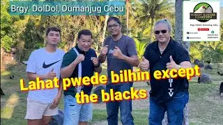 EP491: Pwede bilhin lahat hwag lang mga blacks/Alvin Labra
